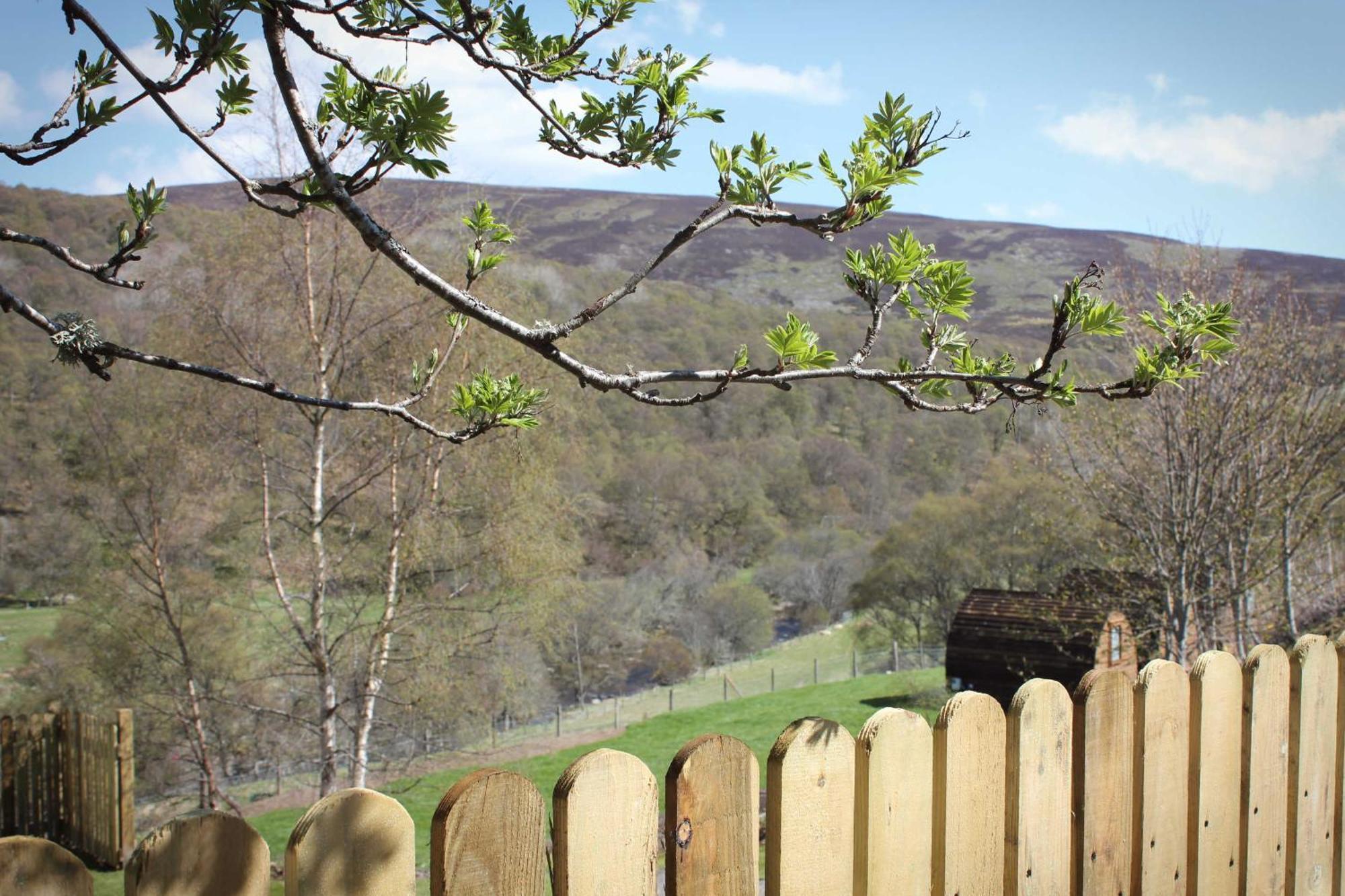 Howe Of Torbeg Ballater Bagian luar foto